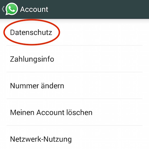 WhatsApp: So umgeht ihr die blauen Häkchen