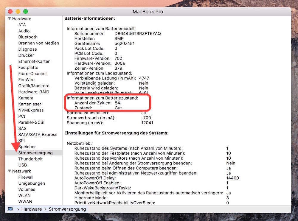 Im Systembericht listet OS X alle Informationen zum MacBook auf (Bild: Screenshot OS X El Capitan).