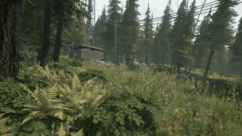 Battalion 1944 Landschaft