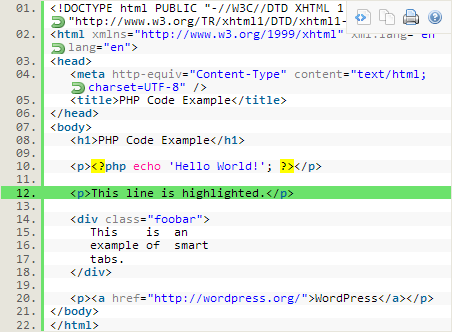 HTML Code in WordPress
