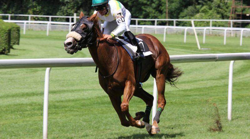 Smartphones und mobile Apps revolutionieren Sportwetten