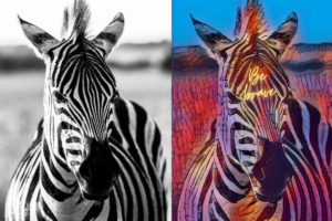 Bildbearbeitung mit Browser - Canva